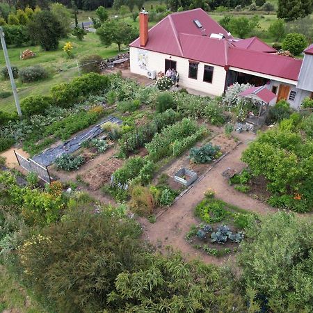 Cherry Top Farmstay - Boutique Eco Village Lilydale Eksteriør bilde