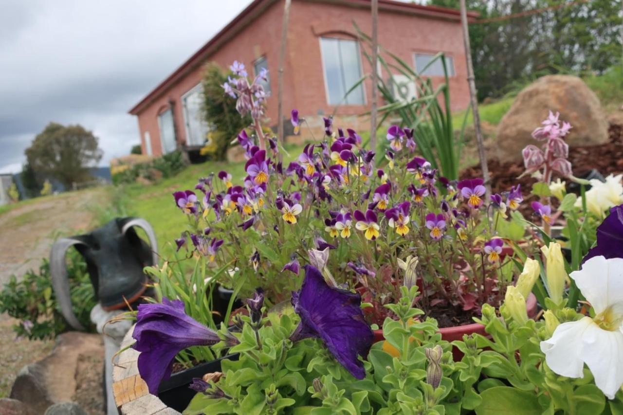 Cherry Top Farmstay - Boutique Eco Village Lilydale Eksteriør bilde