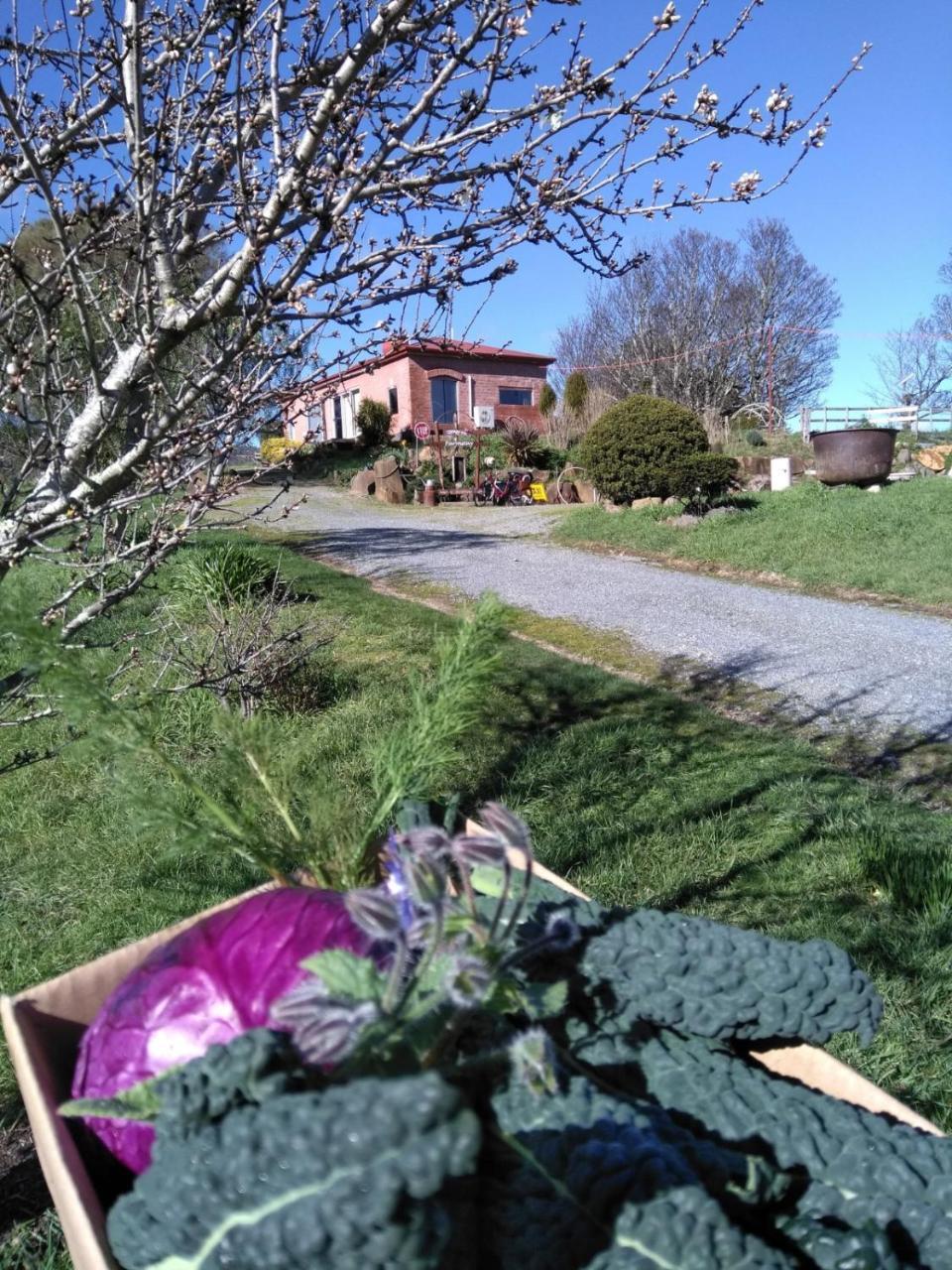 Cherry Top Farmstay - Boutique Eco Village Lilydale Eksteriør bilde