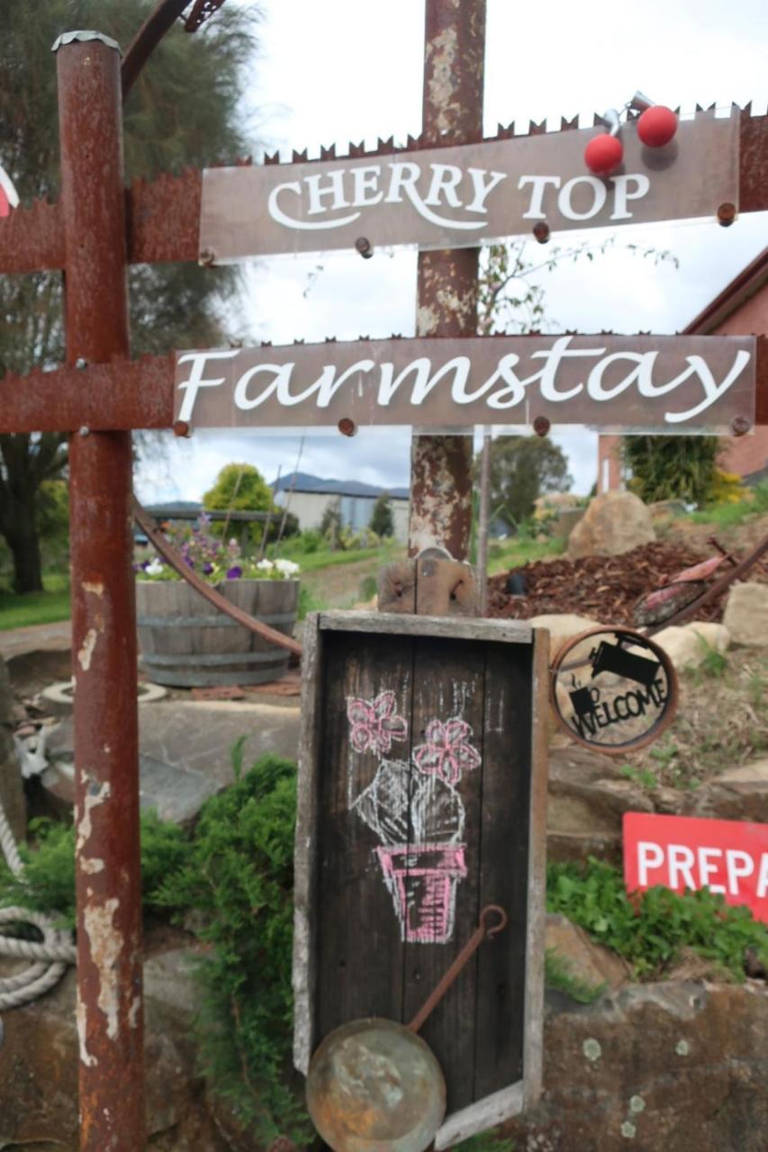Cherry Top Farmstay - Boutique Eco Village Lilydale Eksteriør bilde