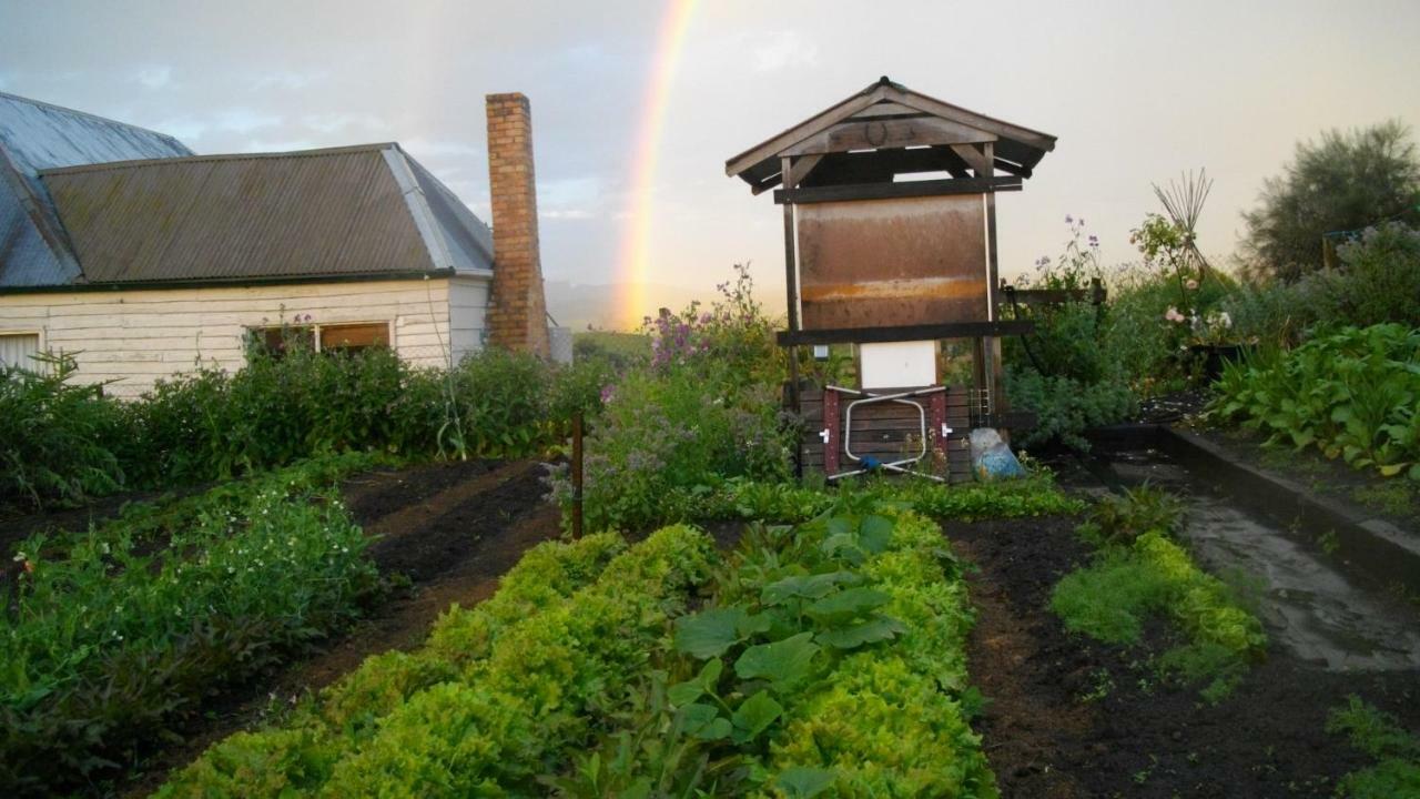 Cherry Top Farmstay - Boutique Eco Village Lilydale Eksteriør bilde