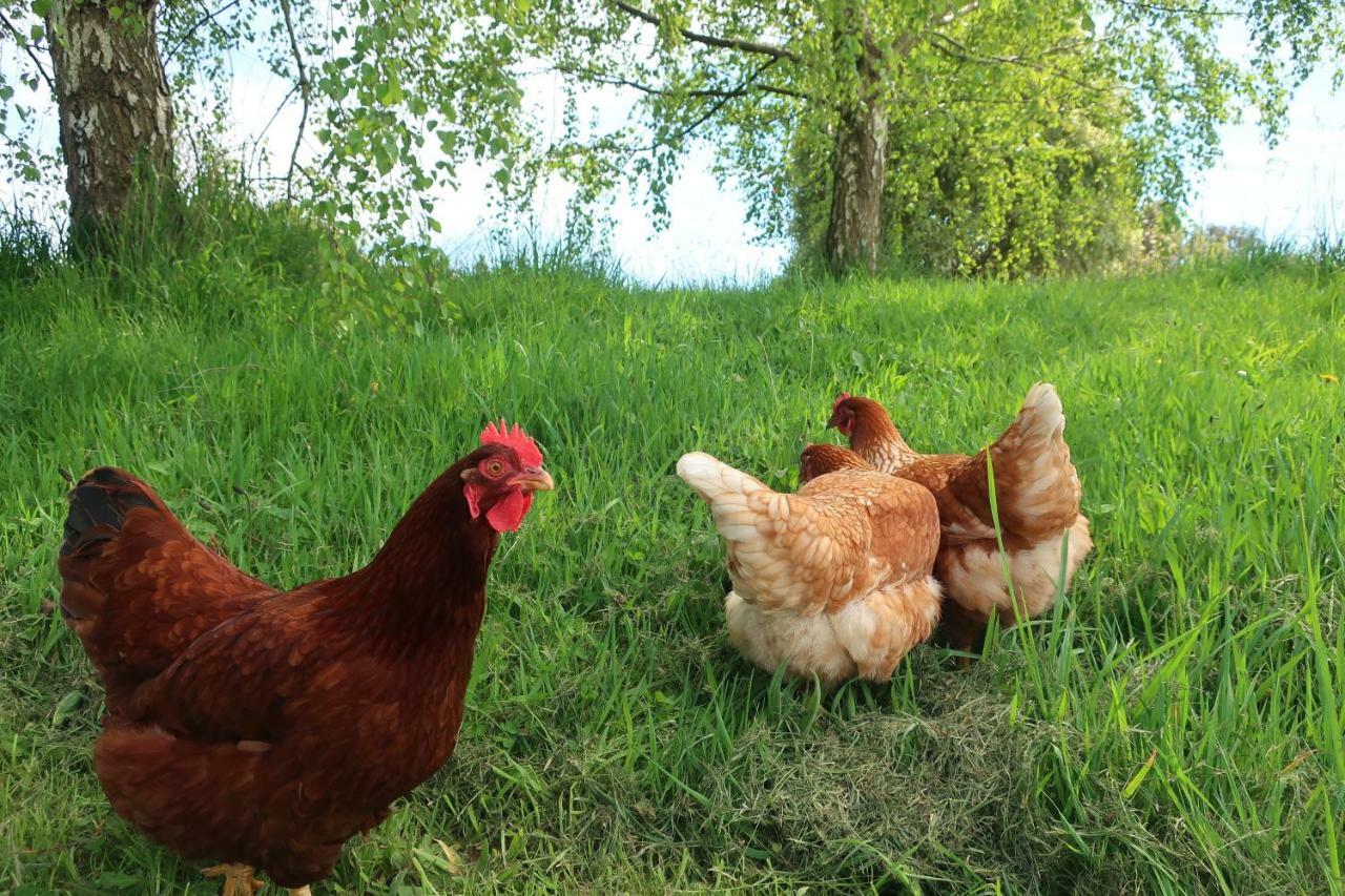 Cherry Top Farmstay - Boutique Eco Village Lilydale Eksteriør bilde