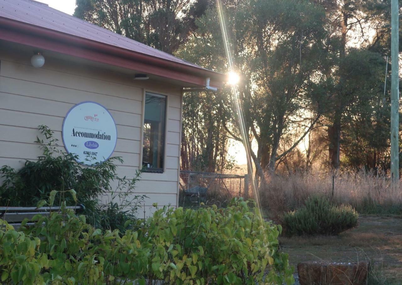 Cherry Top Farmstay - Boutique Eco Village Lilydale Eksteriør bilde